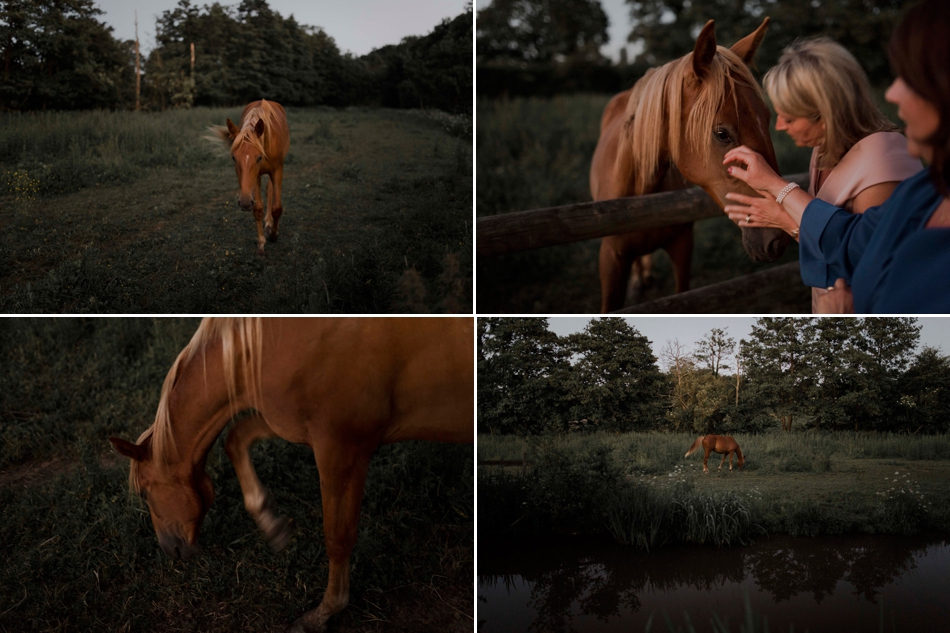 cheval mariage normandie