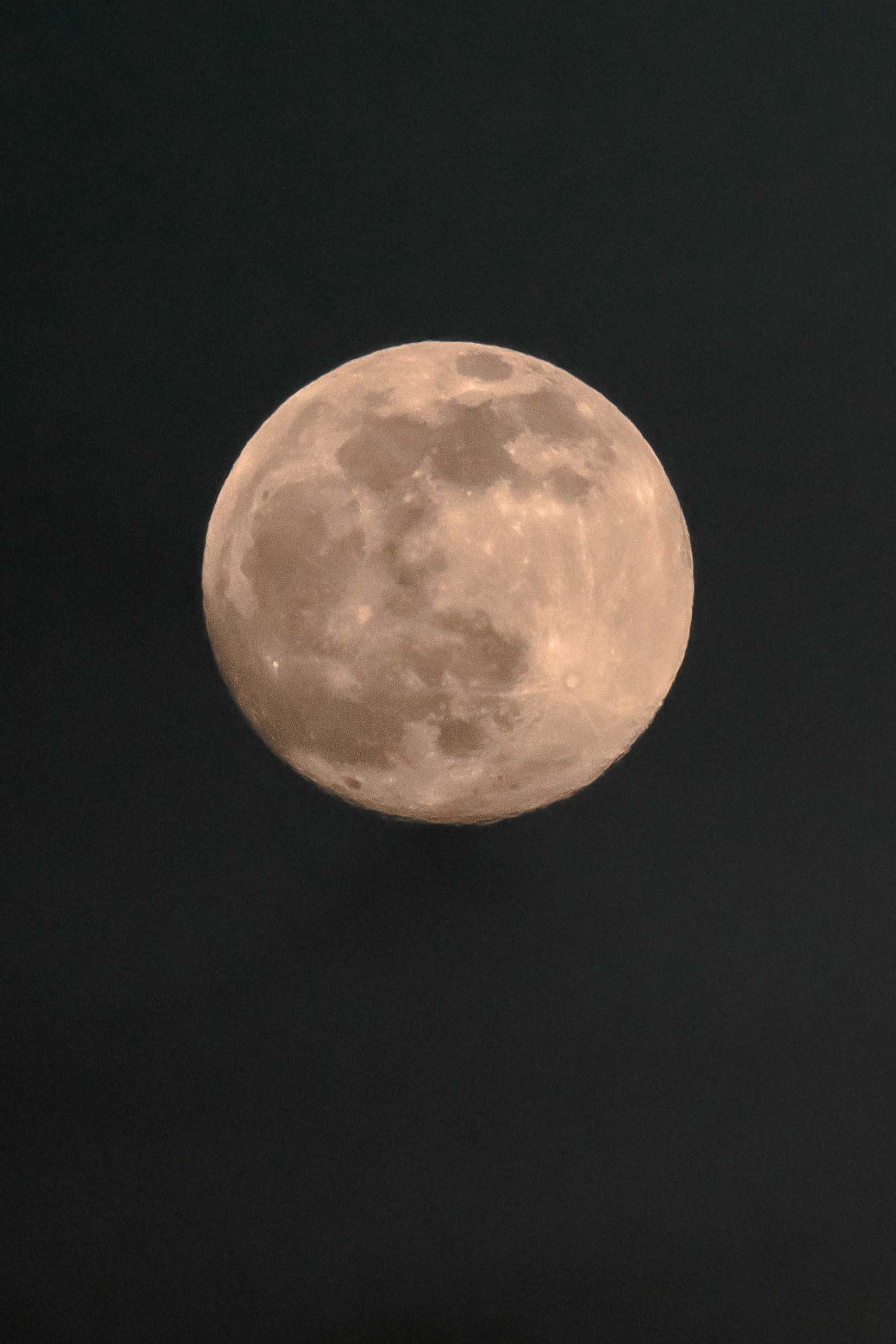photo de pleine lune rose