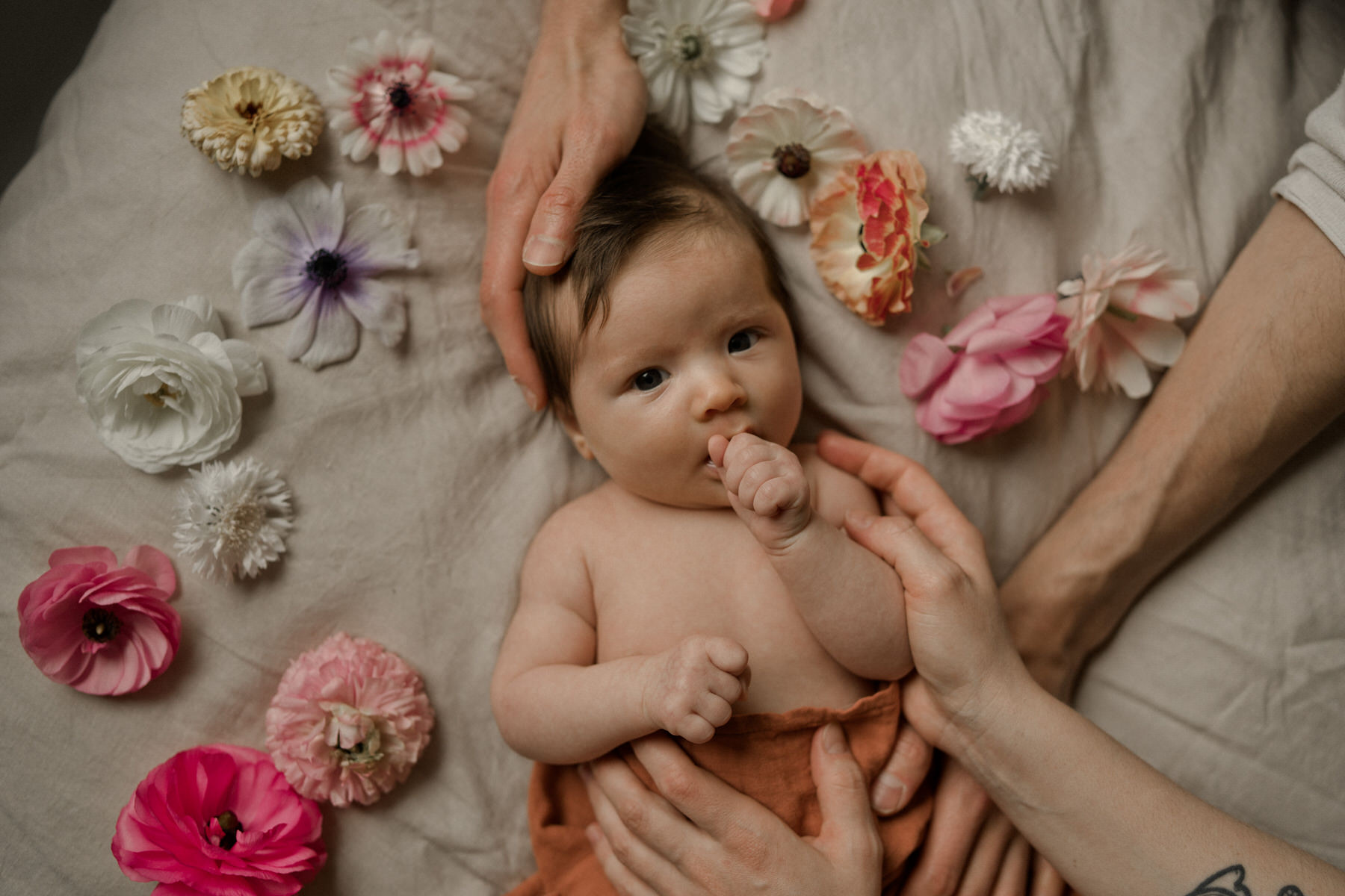 photo de bébé avec des fleurs Caen