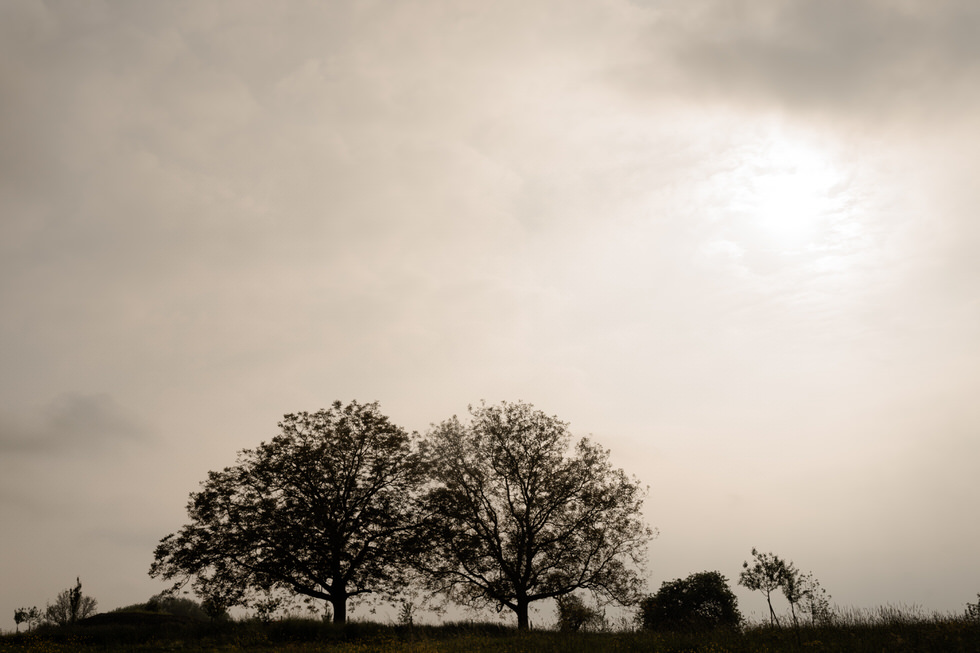 Mariage nature dans le Nord