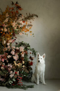 Solveig and Ronan - notre chien